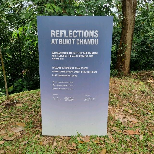 Learn About The Singapore War & Heroes