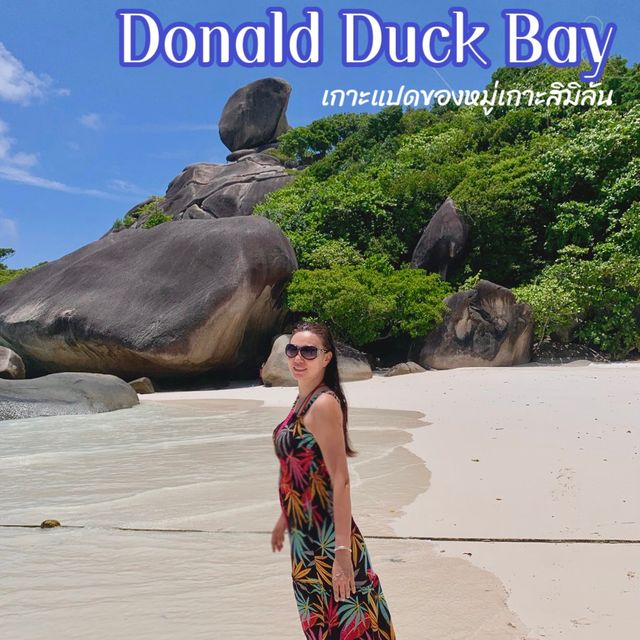 จุดชมวิวที่สวยระดับโลก ณ เกาะแปด, หมู่เกาะสิมิลัน