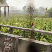 ThursdayEspresso แพร่