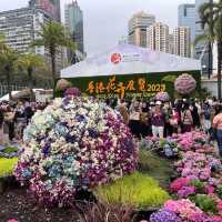 春日限定，花迷值得一去～維多利亞公園花卉展🌸