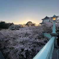 The amazing Kenroku-en Garden