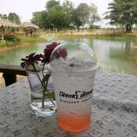 หลบร้อน​ มาผ่อนคลายที่ฟาร์มคาเฟ่​ บุรีรัมย์