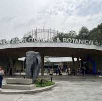 Rediscover the New Improved Manila Zoo