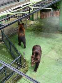 深圳動物園一天遊