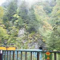 【黒部】黒部峡谷トロッコ列車