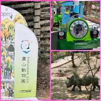 坐小火車欣賞動物