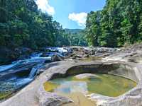 One of the World Oldest Tropical Rainforests