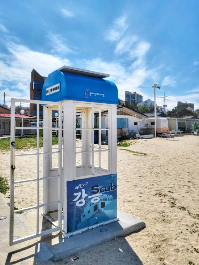 해중공원전망대에서 바라보는 강릉오션뷰는 최고🌊