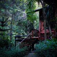 เที่ยวกระท่อมกลางหุบเขา ริมลำธารน้ำตก แค่คนละ750฿