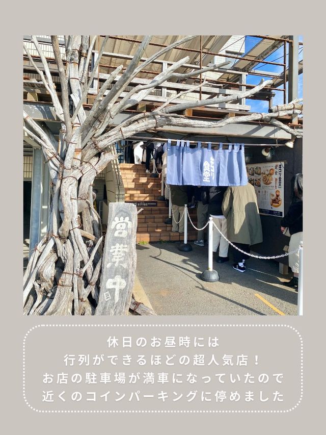 【鎌倉】わんこと行ける絶品定食🌴