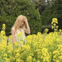 京都  四季折々のお花が楽しめるSPOT🌼