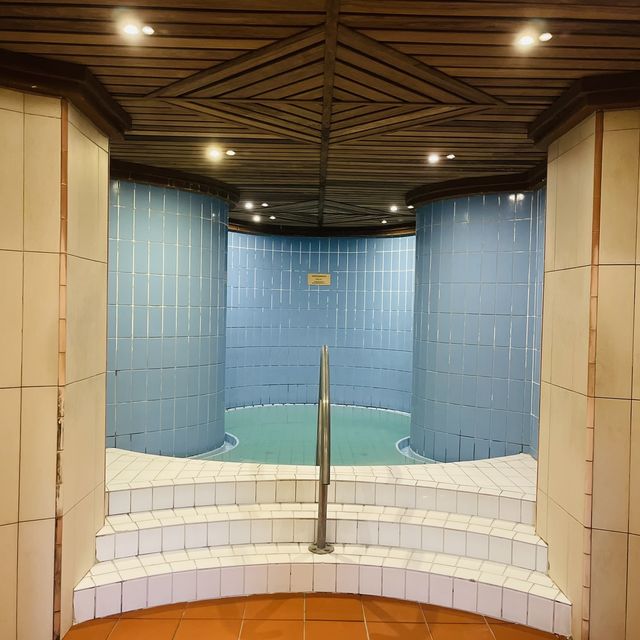 헝가리 최고 최대의 온천, 세체니 온천