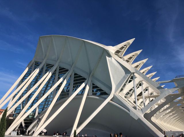 Ciutat de les Arts i les Ciències @Valencia👀