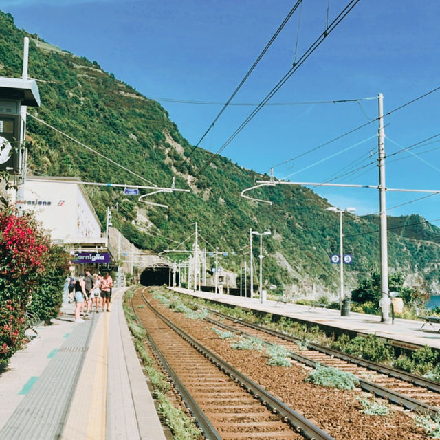 🎬 PIXAR電影取景🇮🇹意大利五漁村Cinque Terre🎑