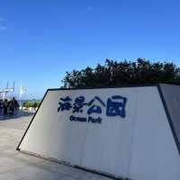 【深圳】壹海城：太二酸菜魚