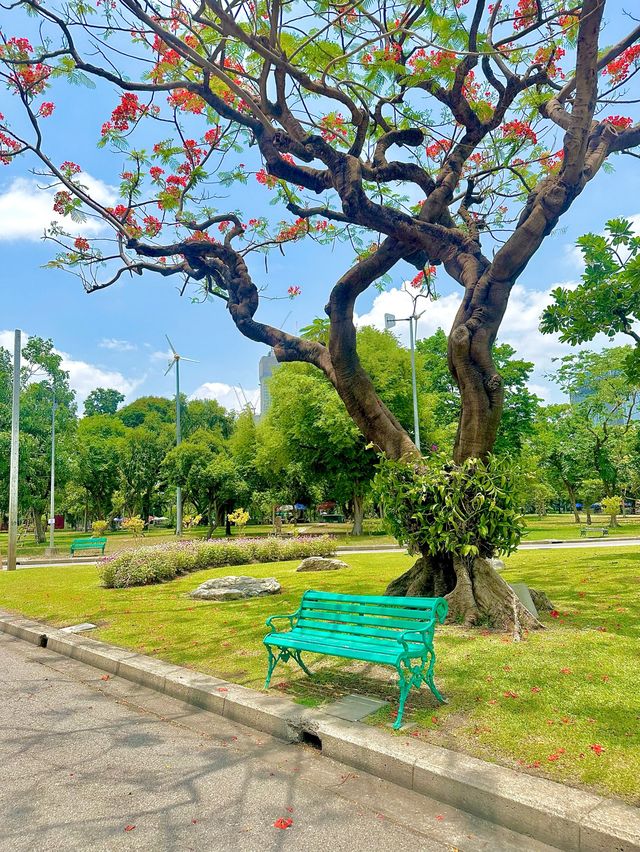 바옥 도심 속 공원 룸피니공원🌳