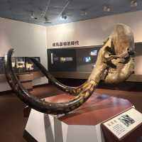 【臺中北區】自然科學館：多展區，立體電影，適合全家一日遊【8/10】