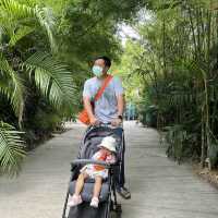 Safari world มากี่ครั้งก็ไม่เคยเบื่อ