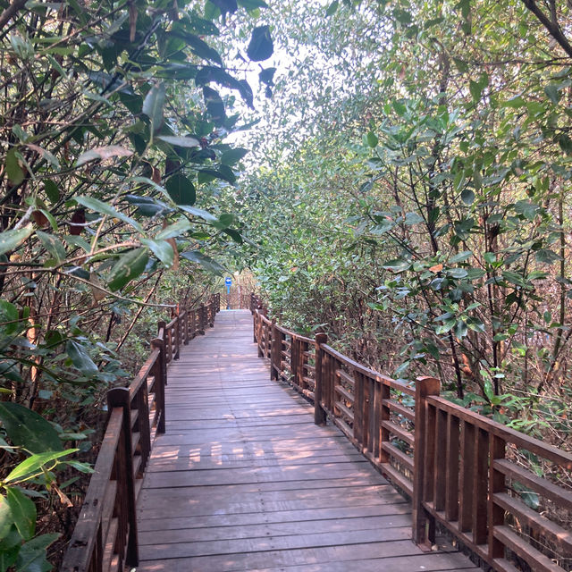 スラバヤ　マングローブ公園【Wisata Mangrove Gunung Anyar】