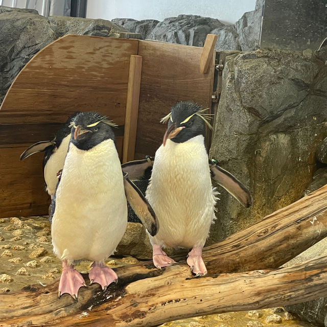 大阪海遊館