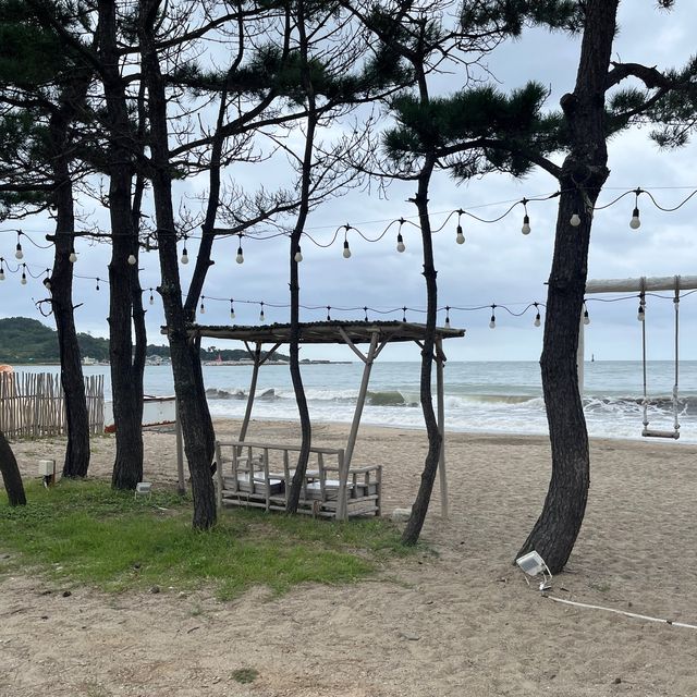 바다 바로앞 코카콜라 트럭이 있는 멋진 오션뷰 카페