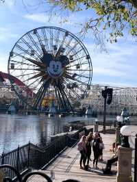 Disney California Adventure Park 🎢✨