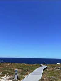 西澳的Rottnest Island：水清沙幼沙灘與微笑袋鼠的天堂！🏝️🌊🦘
