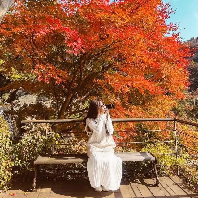 首爾這個地方，超級漂亮一定要收藏!! 