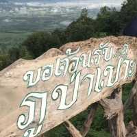ชมวิวธรรมชาติที่ภูป่าเปาะ | เลย
