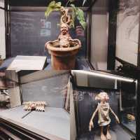 Review The Making of Harry Potter ✨Tokyo,Toshimaen