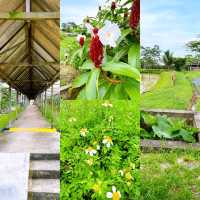 Educational Trip to Zenxin Organic Park