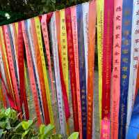Serene Sanctity: Wat Pha Ngao