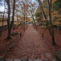 地藏院：南投埔里鎮佛教寺院，禪林和圖書館