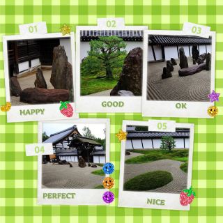 Xinian Temple ⛩️🌸Meditation and tranquility🧘‍♀️🍃