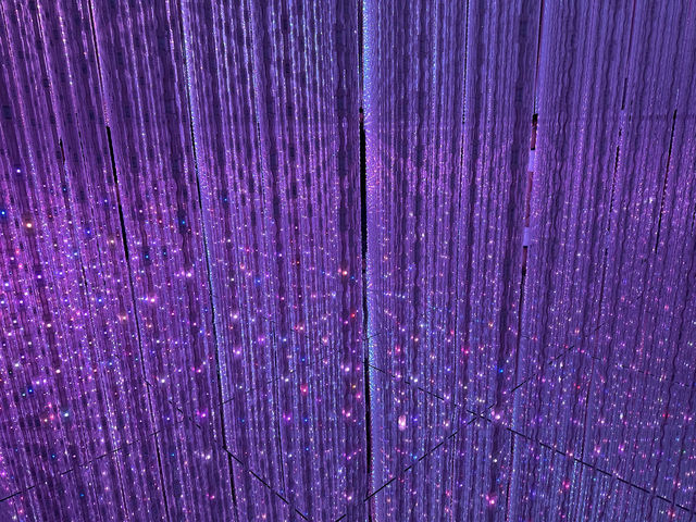 東京｜沉浸式體驗展覽