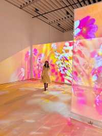 【虎ノ門】没入感が凄い！蜷川実花史上最大規模の体験型展覧会🌸🗼