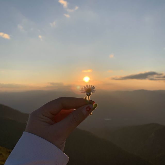 ดอยม่อนจอง ฉบับไปเอง ⛰️