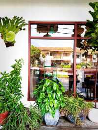 Pluffed Cafe