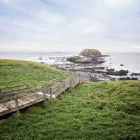 Australia Philip Island's Breathtaking Views 