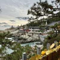 【韓国釜山・機張】釜山のパワースポット！願いを叶えたいなら「해동용궁사（海東龍宮寺）」
