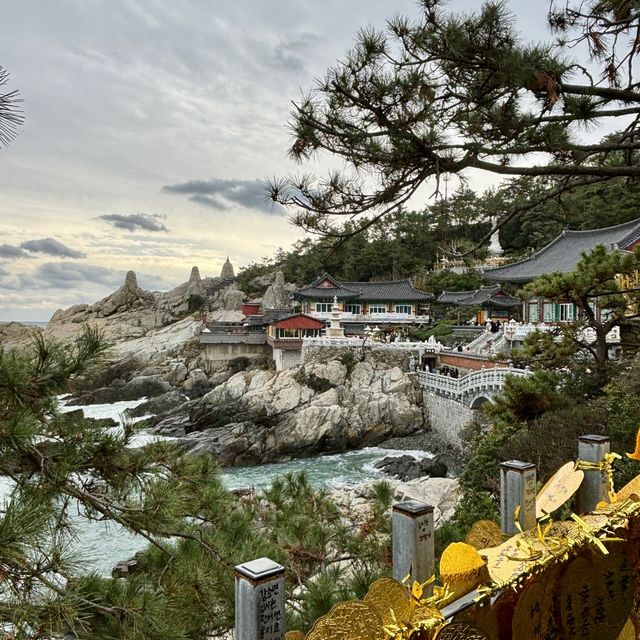 【韓国釜山・機張】釜山のパワースポット！願いを叶えたいなら「해동용궁사（海東龍宮寺）」