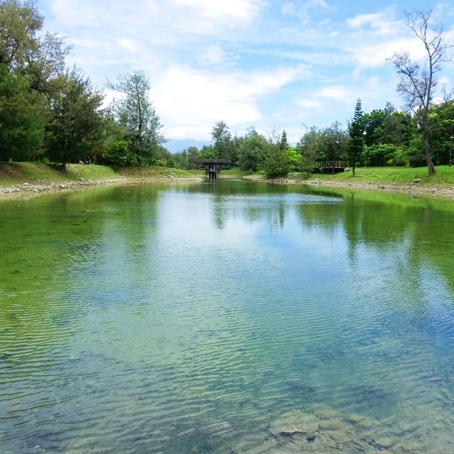 絕美密境~台東森林公園琵琶湖