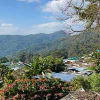 Must visit That Doi Pui & Hmong Doi Pui Villa