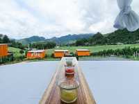 ฮาโล โฮมสเตย์ Halo Homestay อ.แม่แตง จ.เชียงใหม่