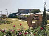 ร้าน DOK Chiang Rai ร้านอาหารใกล้สนามบิน