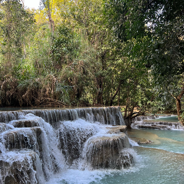 Christmas Magic in Luang Prabang 