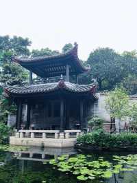 梁園：佛山的古典園林與文化精粹🌸