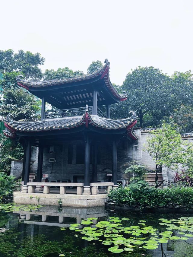 梁園：佛山的古典園林與文化精粹🌸