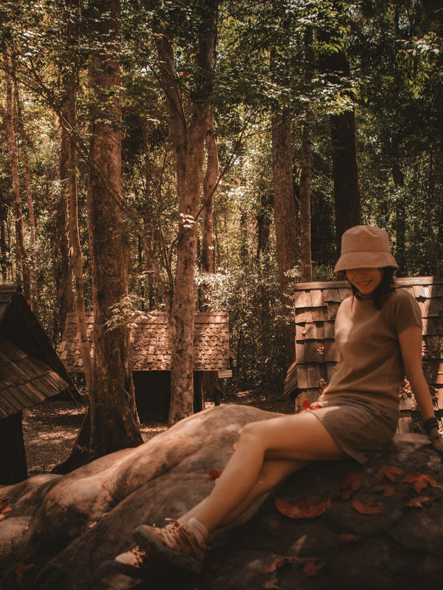 ใบเมเปิ้ลแดงสวยมากเลย 🍁