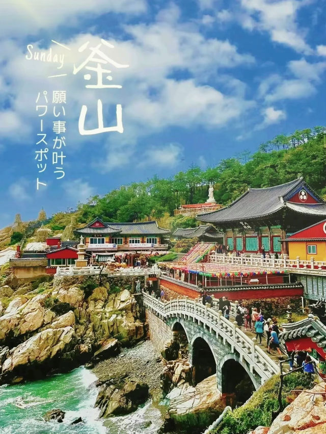 【釜山】"必ず願い事を1つ叶えてくれる"事で有名な 竜宮城のような『海東龍宮寺』 